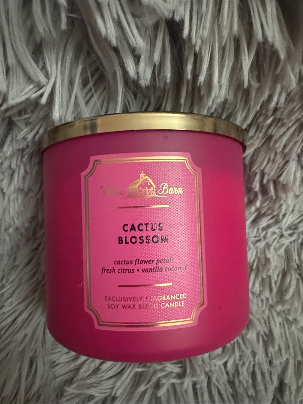 Bath & Body Works Hot Pink Cactus Blossom Jar Candle with Gold Lid